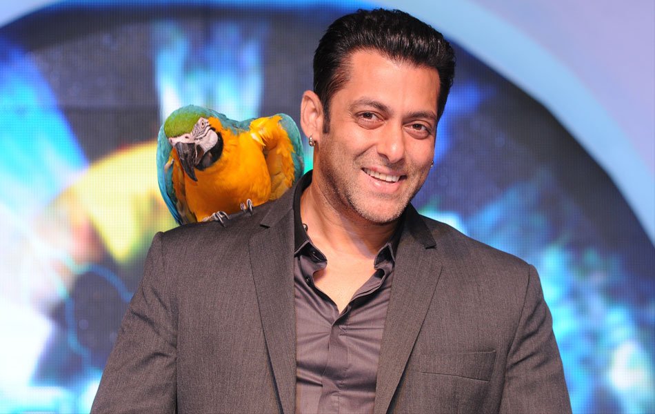 Bigg Boss 6 parrot with salman