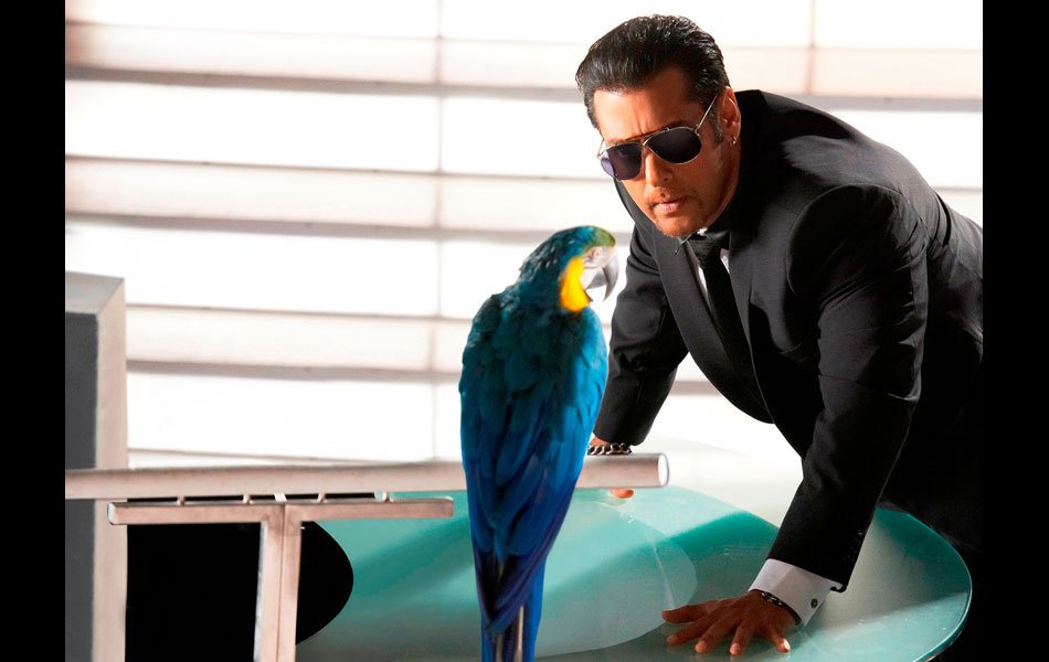 Bigg Boss 6 parrot