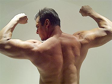 salman khan muscles